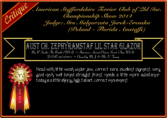 Zephyramstaf Lil Star Glazor.png